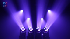 Beyond 1940ZWR Lighting Show01